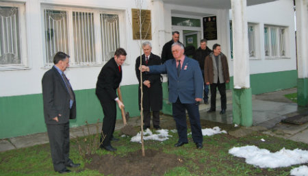 Plantarea tânărului platan în faţa Primăriei din Torda (Serbia) 